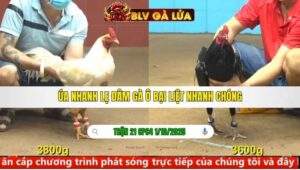 TRẬN 21 CPC4 NGÀY 1/10/2025