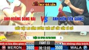 TRẬN 23 CPC6 NGÀY 31/10/2025