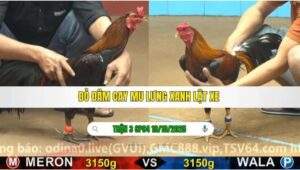 TRẬN 3 CPC4 NGÀY 19/10/2025