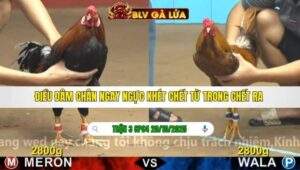 TRẬN 3 CPC4 NGÀY 20/10/2025