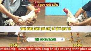 TRẬN 3 CPC4 NGÀY 6/10/2025