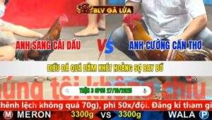 TRẬN 3 CPC5 NGÀY 27/10/2025