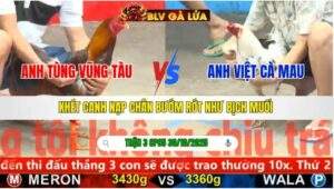 TRẬN 3 CPC5 NGÀY 30/10/2025