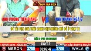 TRẬN 3 CPC6 NGÀY 24/10/2025