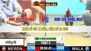 TRẬN 3 CPC6 NGÀY 9/10/2025