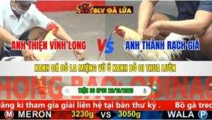 TRẬN 30 CPC5 NGÀY 29/10/2025