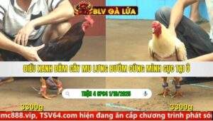 TRẬN 4 CPC4 NGÀY 1/10/2025