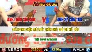 TRẬN 4 CPC5 NGÀY 19/10/2025