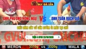 TRẬN 4 CPC5 NGÀY 22/10/2025