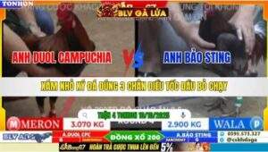 TRẬN 4 TONHON NGÀY 10/10/2025