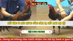 TRẬN 5 CPC4 NGÀY 1/10/2025