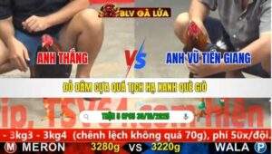 TRẬN 5 CPC5 NGÀY 30/10/2025