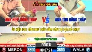 TRẬN 5 CPC6 NGÀY 28/10/2025