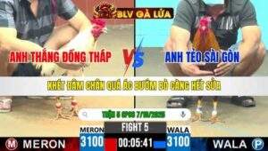 TRẬN 5 CPC6 NGÀY 7/10/2025