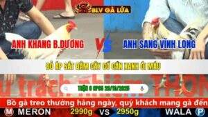 TRẬN 6 CPC5 NGÀY 29/10/2025