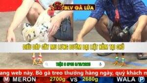 TRẬN 6 CPC5 NGÀY 6/10/2025