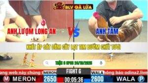 TRẬN 6 CPC6 NGÀY 24/10/2025