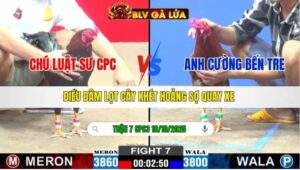 TRẬN 7 CPC3 NGÀY 18/10/2025