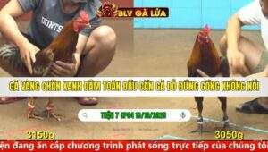 TRẬN 7 CPC4 NGÀY 13/10/2025