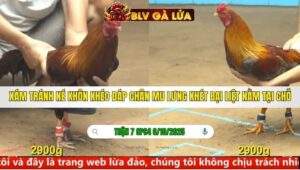 TRẬN 7 CPC4 NGÀY 6/10/2025