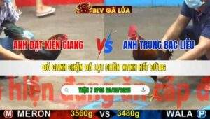 TRẬN 7 CPC5 NGÀY 20/10/2025