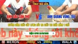 TRẬN 8 CPC5 NGÀY 23/10/2025