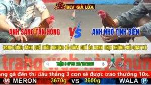 TRẬN 8 CPC5 NGÀY 28/10/2025