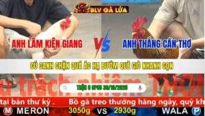 TRẬN 8 CPC5 NGÀY 30/10/2025