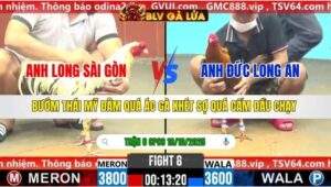 TRẬN 8 CPC6 NGÀY 19/10/2025