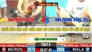 TRẬN 8 CPC6 NGÀY 30/10/2025