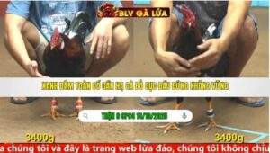 TRẬN 9 CPC4 NGÀY 14/10/2025