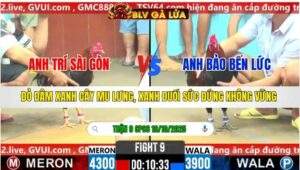 TRẬN 9 CPC6 NGÀY 19/10/2025