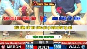 TRẬN 9 CPC6 NGÀY 30/10/2025