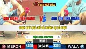 TRẬN 9 CPC6 NGÀY 8/10/2025