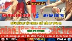 TRẬN 11 CPC5 NGÀY 11/11/2025