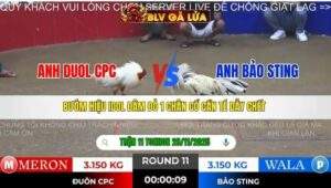 TRẬN 11 TONHON NGÀY 28/11/2025