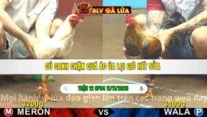 TRẬN 12 CPC4 NGÀY 11/11/2025