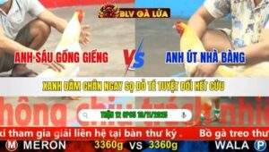 TRẬN 12 CPC5 NGÀY 19/11/2025