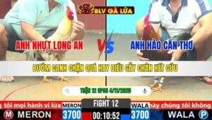 TRẬN 12 CPC6 NGÀY 4/11/2025