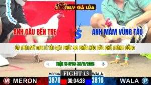 TRẬN 13 CPC3 NGÀY 30/11/2025