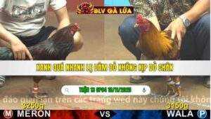 TRẬN 13 CPC4 NGÀY 18/11/2025