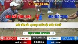 TRẬN 13 TONHON NGÀY 28/11/2025