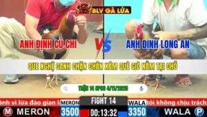 TRẬN 14 CPC6 NGÀY 4/11/2025