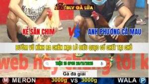 TRẬN 15 CPC5 NGÀY 20/11/2025