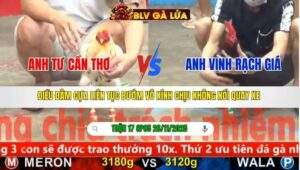 TRẬN 17 CPC5 NGÀY 26/11/2025