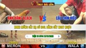 TRẬN 18 CPC4 NGÀY 21/11/2025