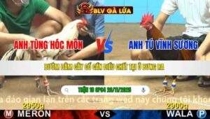 TRẬN 18 CPC4 NGÀY 26/11/2025