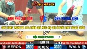 TRẬN 18 CPC6 NGÀY 1/11/2025