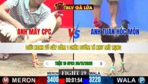 TRẬN 19 CPC3 NGÀY 30/11/2025