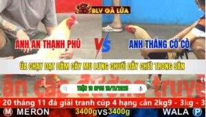 TRẬN 19 CPC5 NGÀY 10/11/2025